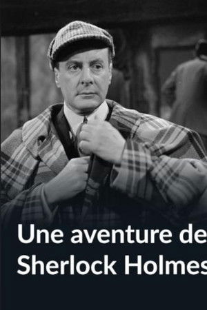 An Adventure of Sherlock Holmes