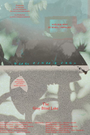 The Gray Blind Lake poster