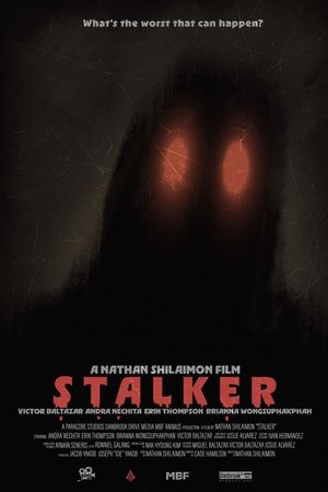 STALKER