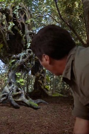 Mandrake
