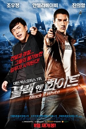 블랙 앤 화이트