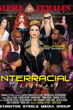 Interracial Playground