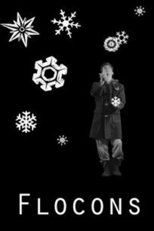 Flocons poster