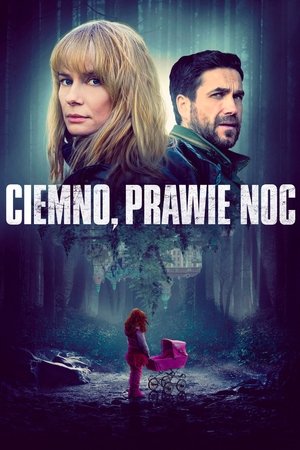 Ciemno, prawie noc