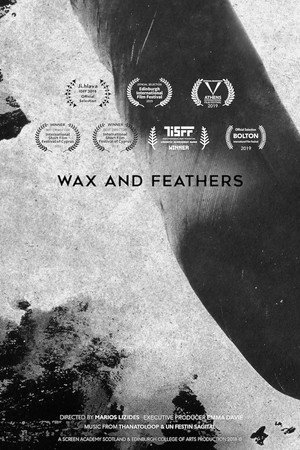 Wax And Feathers poster