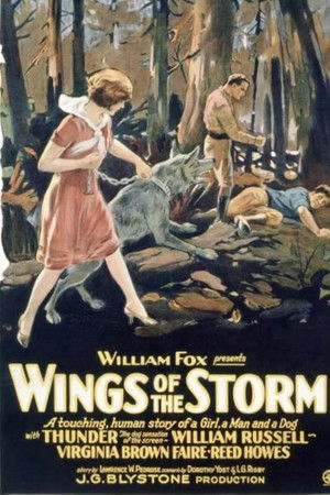 Wings of the Storm