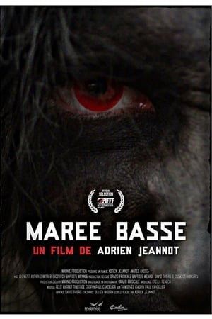 Marée Basse