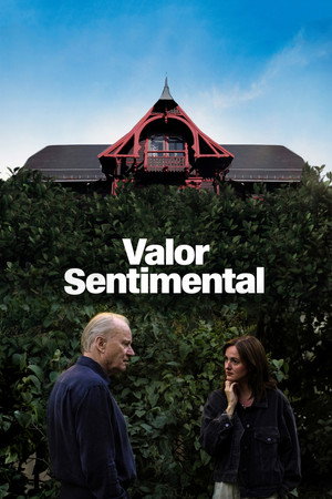 Poster do filme Valor Sentimental