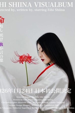 Eihi Shiina Visualbum