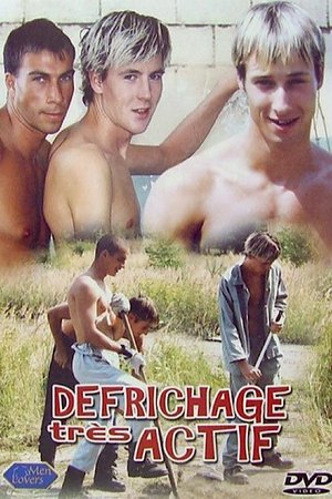 Défrichage très actif