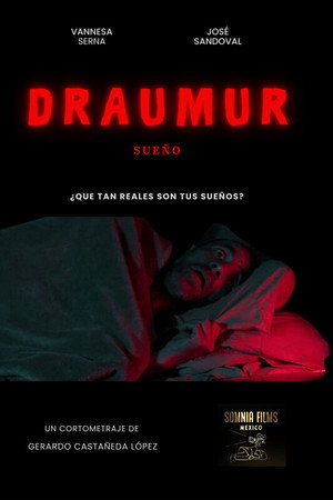 Draumur (sueño) poster