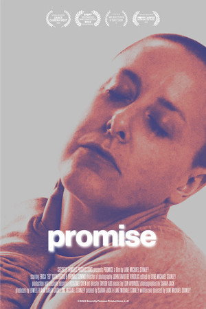 Promise poster