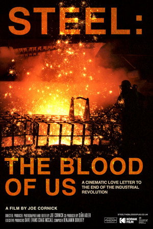 Steel: The Blood Of Us poster