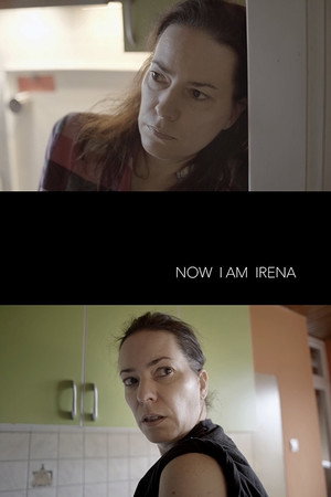 Now I Am Irena poster