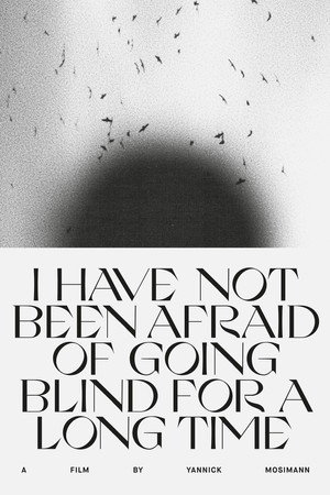 I HAVE NOT BEEN AFRAID OF GOING BLIND FOR A LONG TIME poster