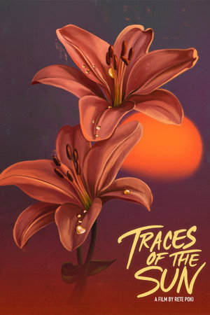 Traces Of The Sun poster