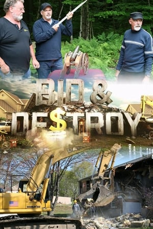 Bid & Destroy
