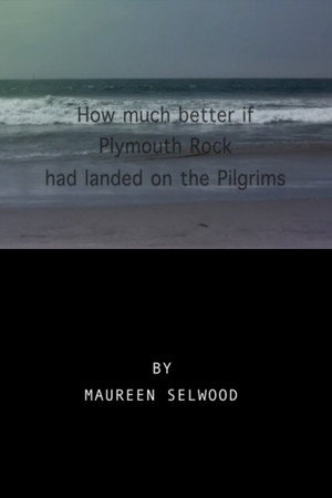 How Much Better If Plymouth Rock Had Landed On The Pilgrims poster