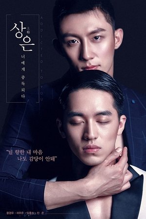 상은