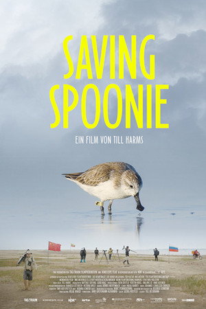 Saving Spoonie poster