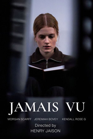 Jamais Vu poster