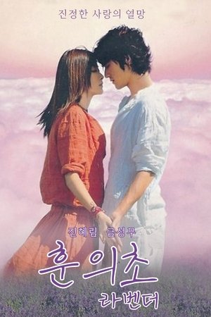 라벤더