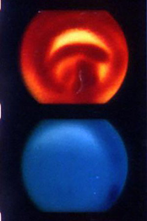 Iris poster