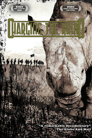 Charging The Rhino Charging The Rhino