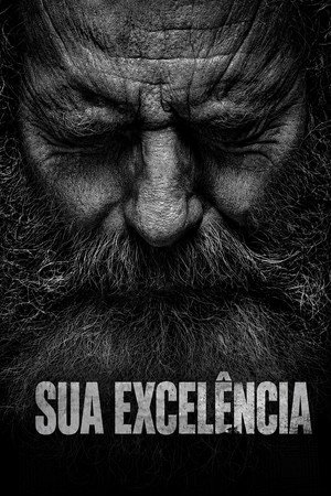 Poster da série Your Honor