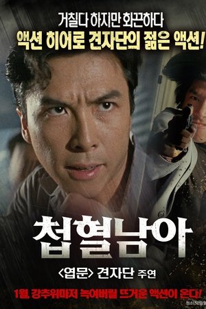 첩혈남아