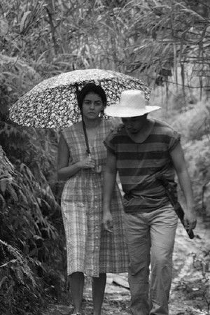 B4kulw76sluhorlvp2vbq5kksdy