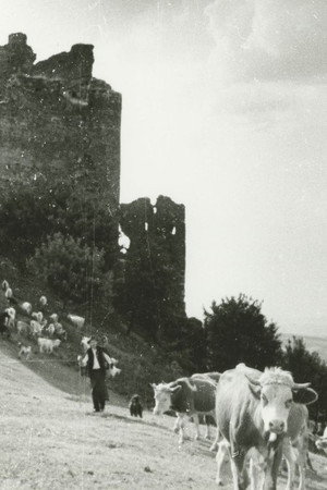 Stones, Castles and Men poster