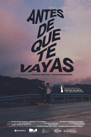 Antes de que te vayas