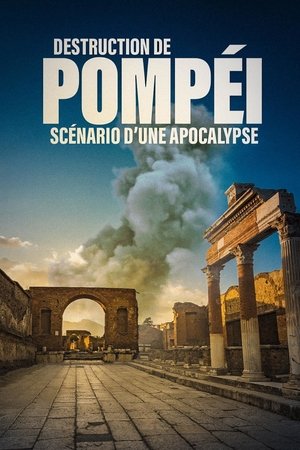 Poster of Destruction de Pompéi scénario d'une apocalypse