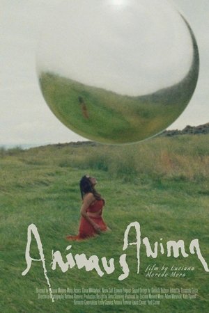 Animus Anima