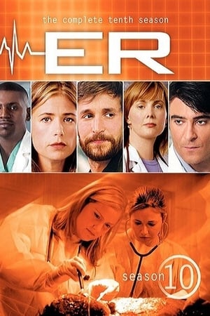 B6hno6tzhthhsjqsvt6xh0wscsr