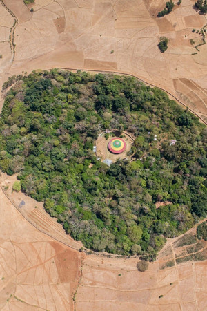 The Church Forests of Ethiopia poster