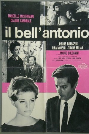 Il bell'Antonio