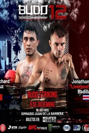 Poster of Budo Sento Championship 12