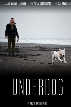 Underdog poster