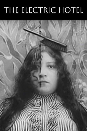 Poster of The Electric Hotel
