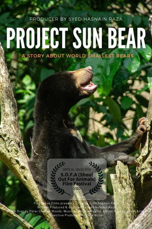 Project Sun Bear