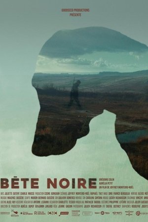 Bête Noire