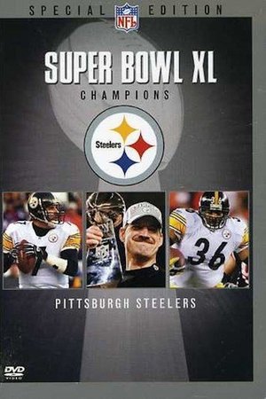 Super Bowl XL Champions: Pittsburgh Steelers