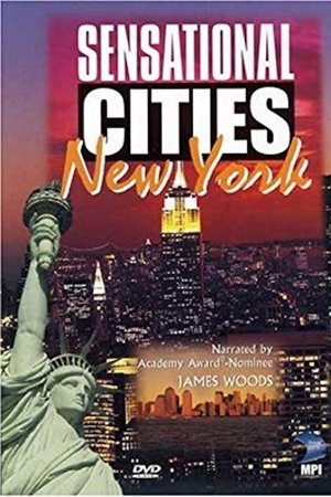 Sensational Cities: New York