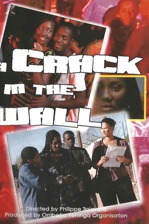 A Crack in the Wall
