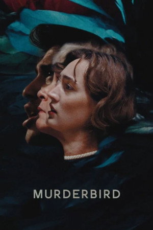 MurderBird poster