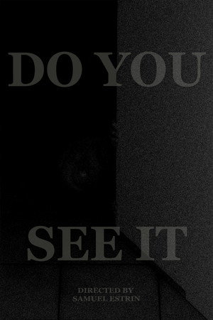 DO YOU SEE IT