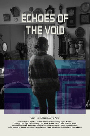 Echoes of the Void