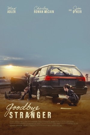 Goodbye Stranger